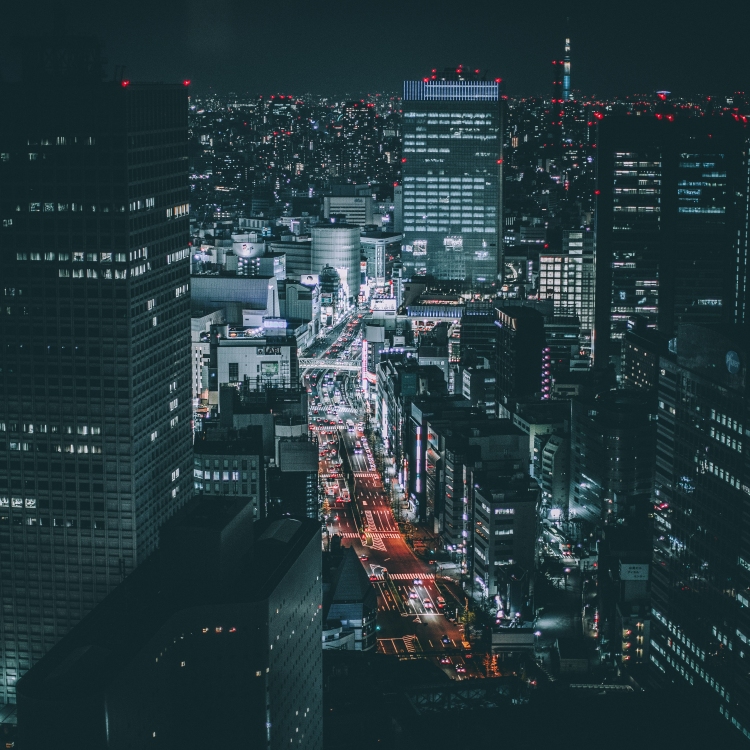 Tokyo'da Kayıp.