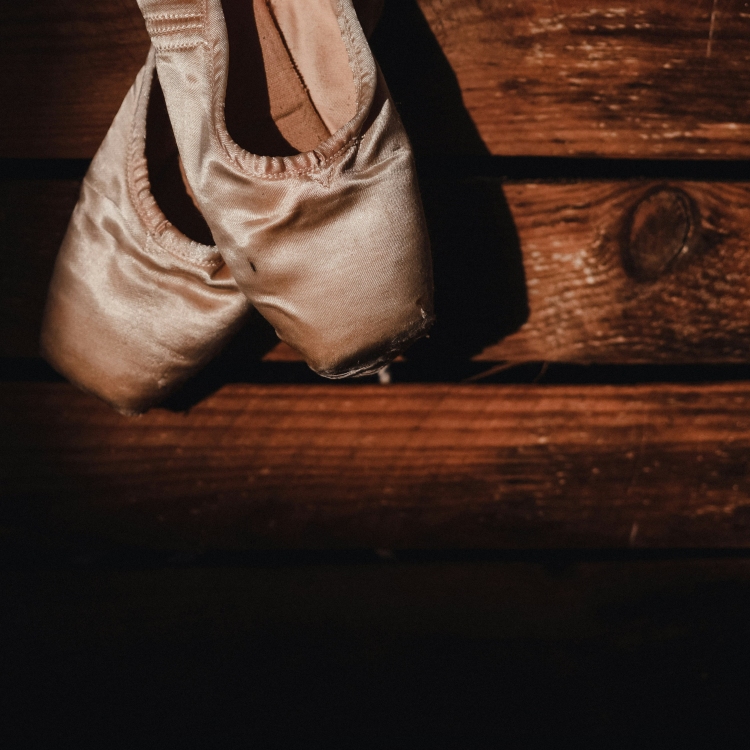 Ballet Slippers