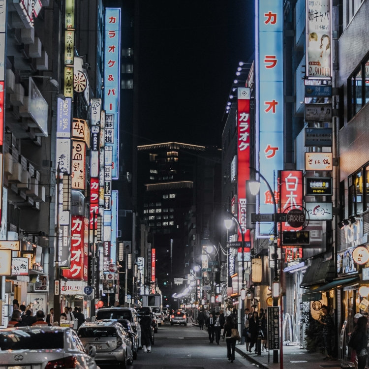 Bir gece hayatı