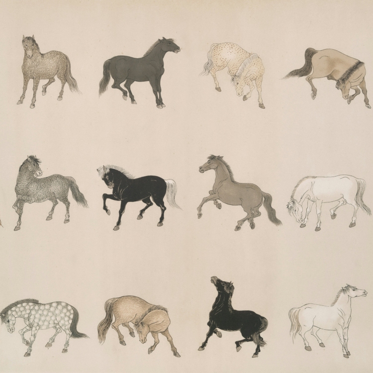 An illustration of horses