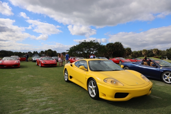 Cars - 355A9006