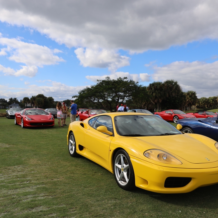 Cars - 355A9006