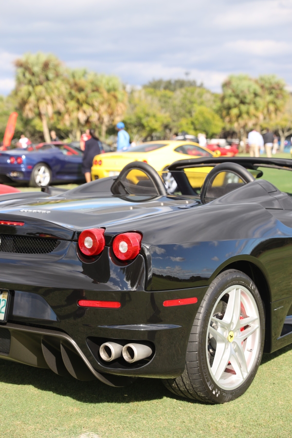 Cars - 355A9016