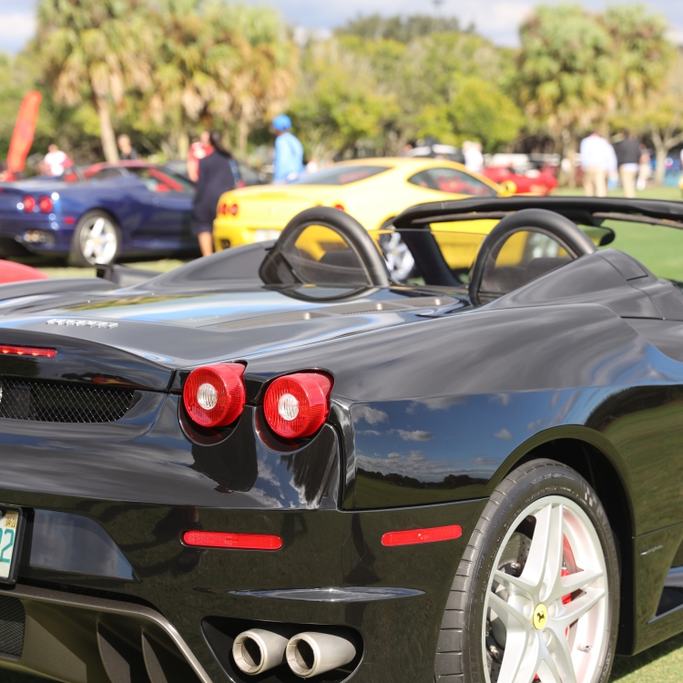 Cars - 355A9016