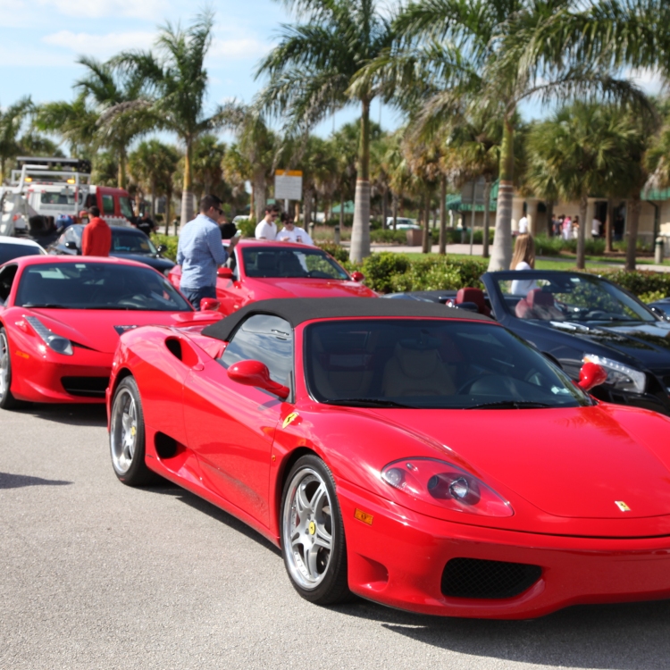 Cars - IMG_3152