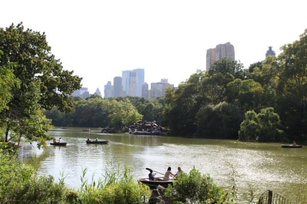 Ny - IMG_3970