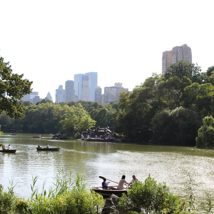 Ny - IMG_3970
