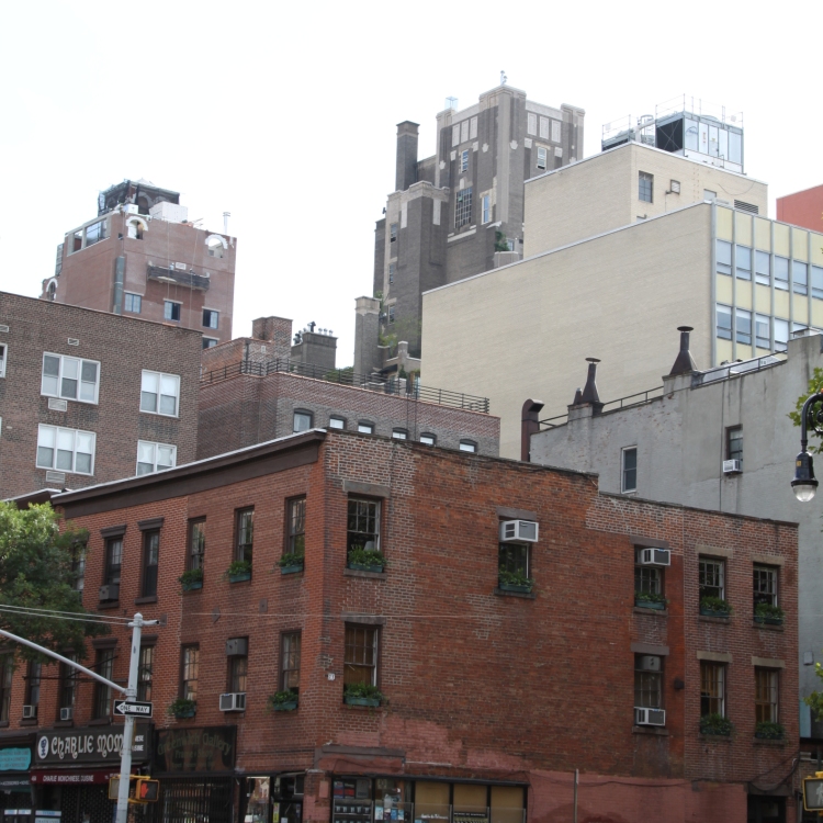 Ny - IMG_4559