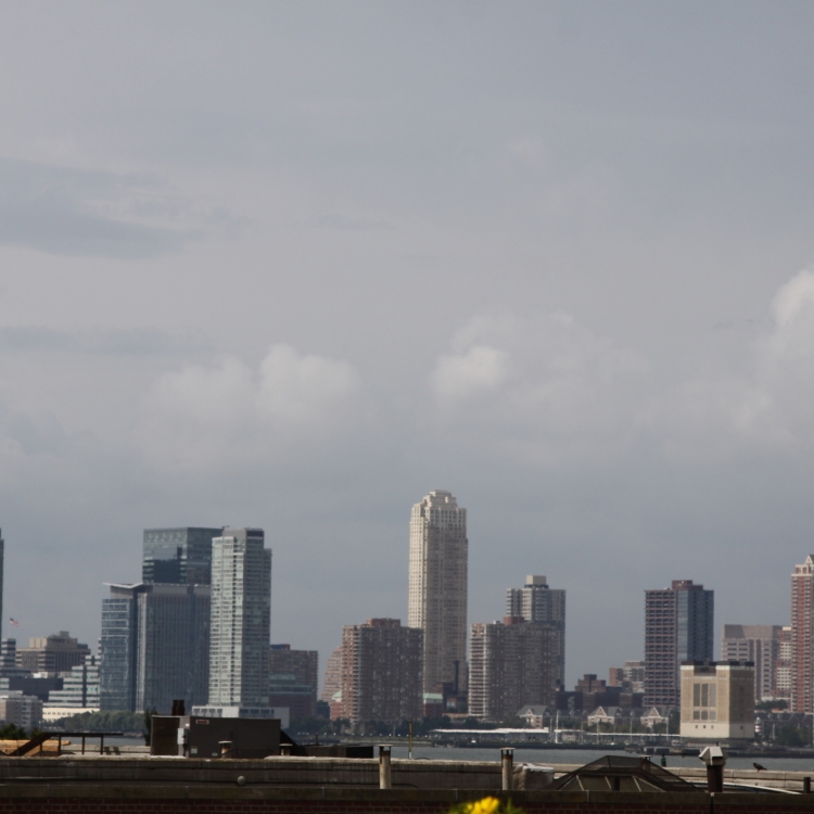 Ny - IMG_4667