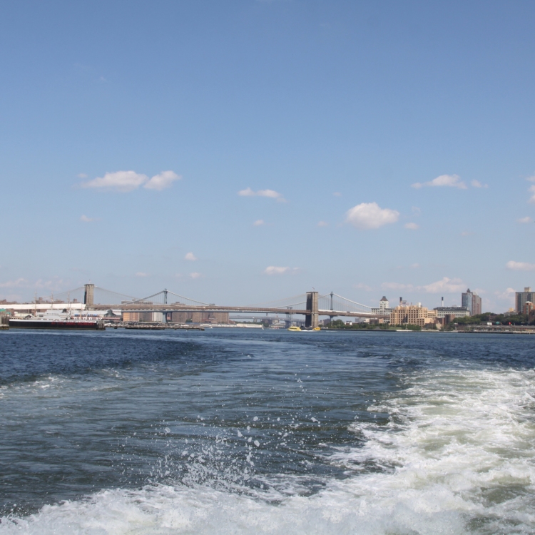 Ny - IMG_5336