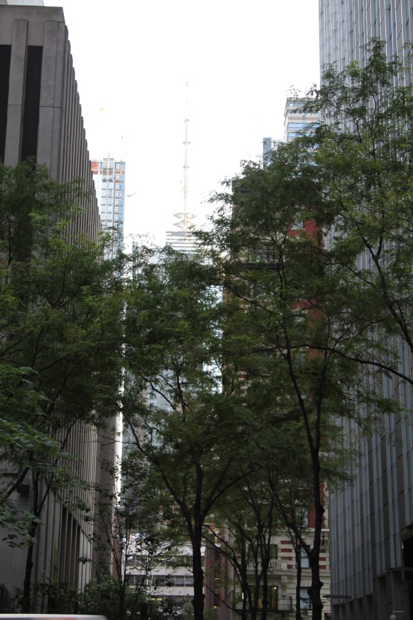 Ny - IMG_5524