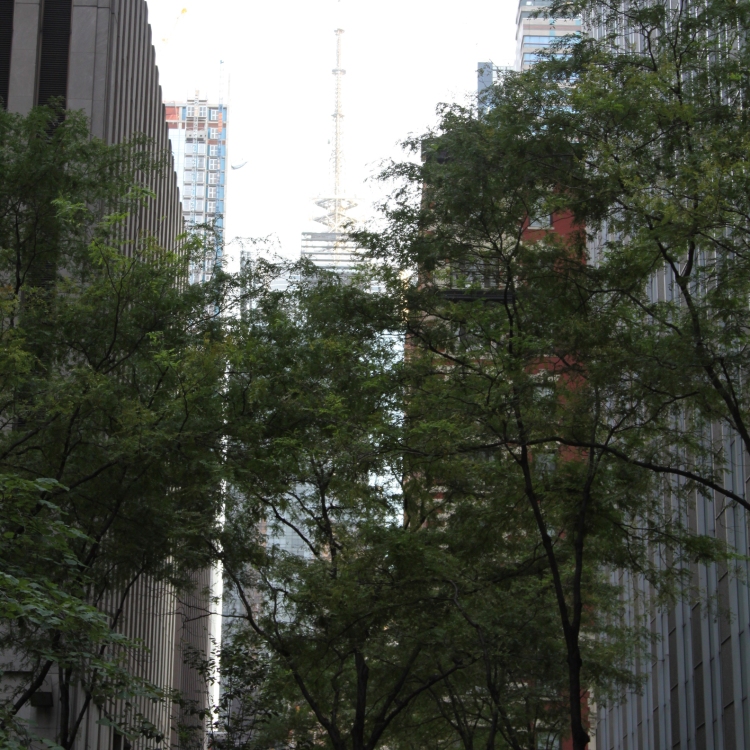 Ny - IMG_5524