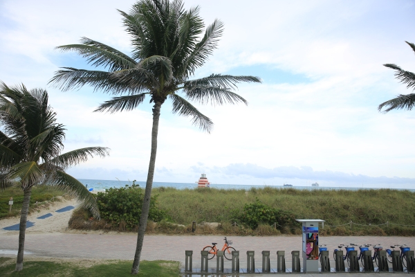 Miami - PC2A0066