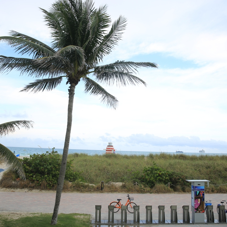 Miami - PC2A0066