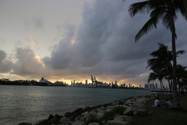 Miami - PC2A0088