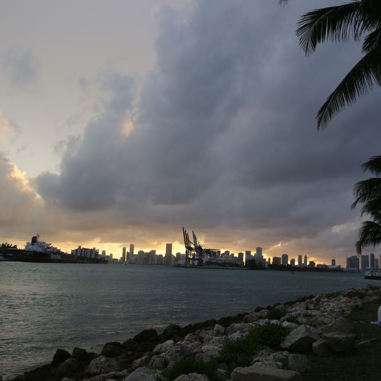 Miami - PC2A0088