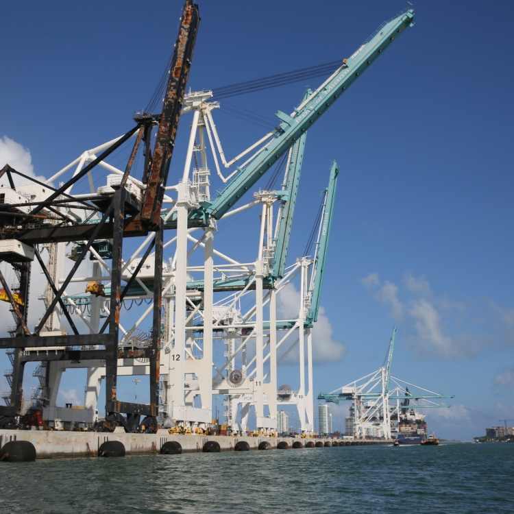 Miami - PC2A0900