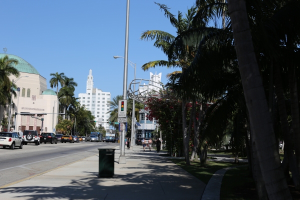 Miami - PC2A1873