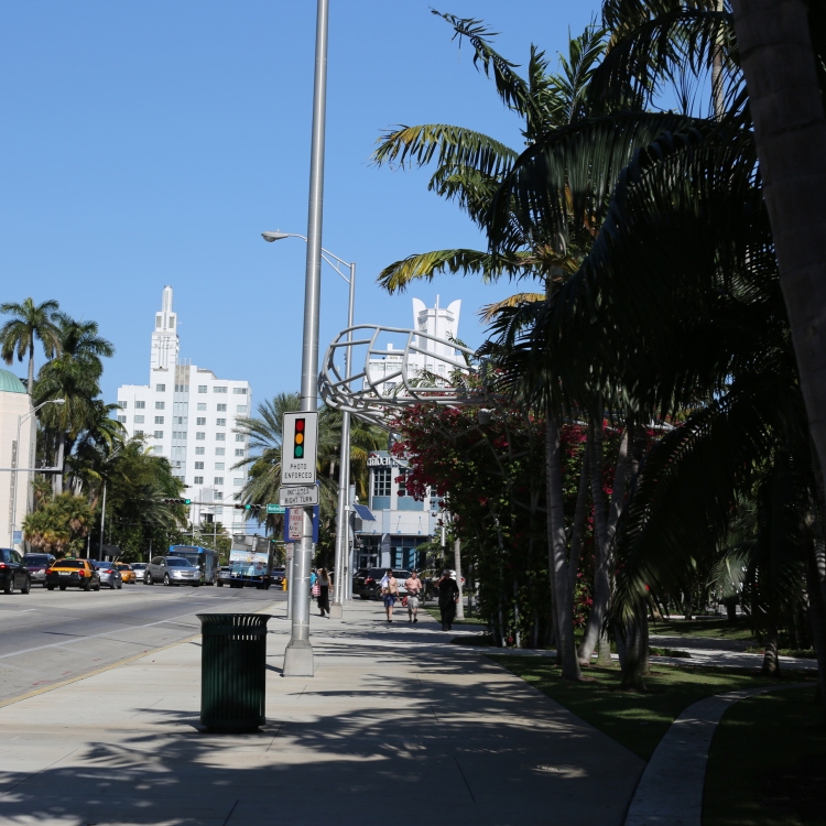 Miami - PC2A1873