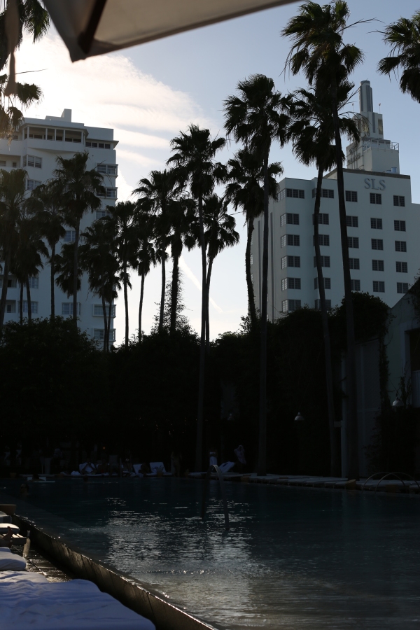 Miami - PC2A2223