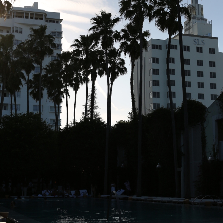 Miami - PC2A2223