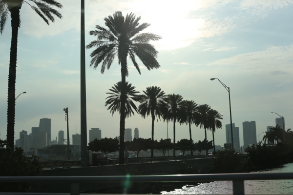 Miami - PC2A3154