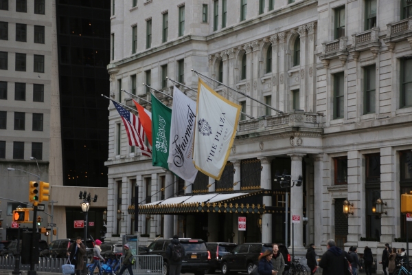Ny - PC2A5444