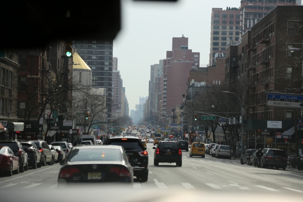 Ny - PC2A6735