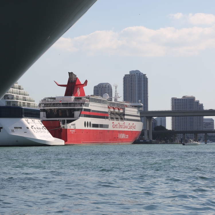 Miami - PC2A6789