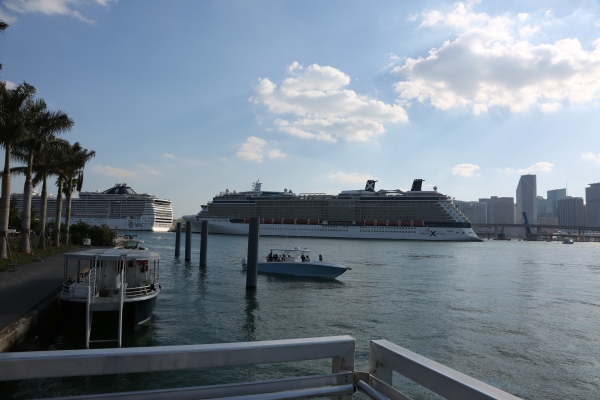 Miami - PC2A6885
