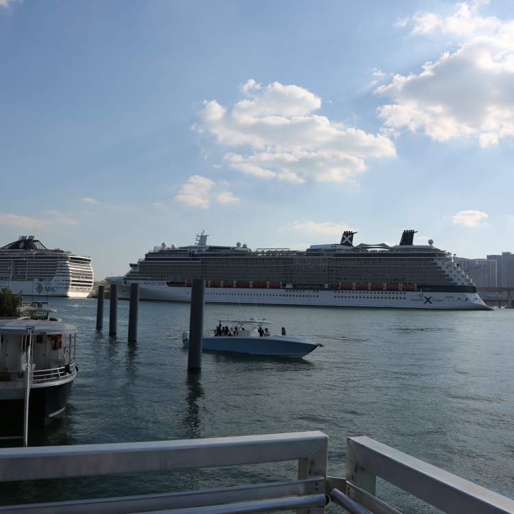 Miami - PC2A6885