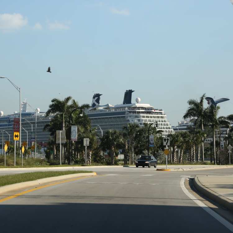 Miami - PC2A6889