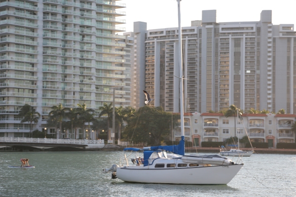 Miami - PC2A6909