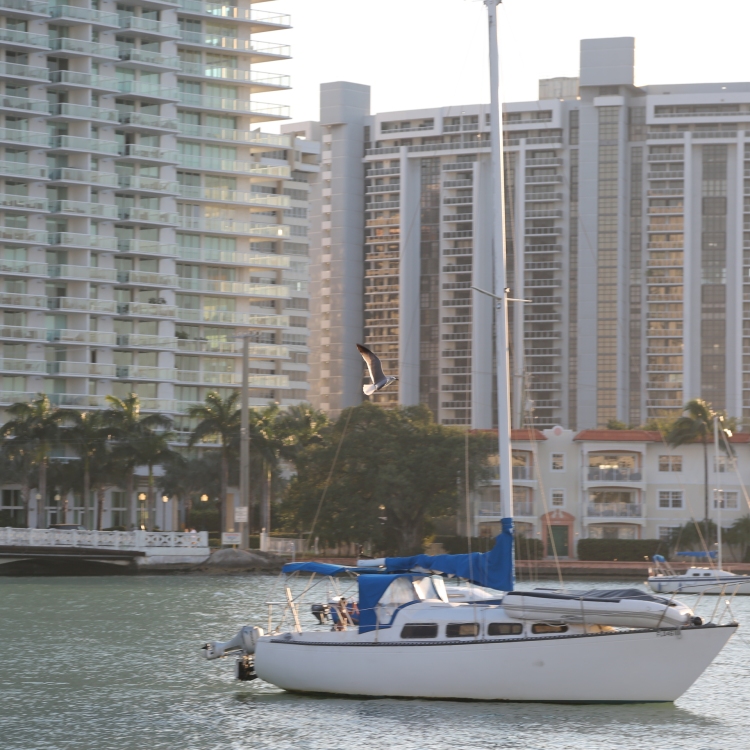 Miami - PC2A6909