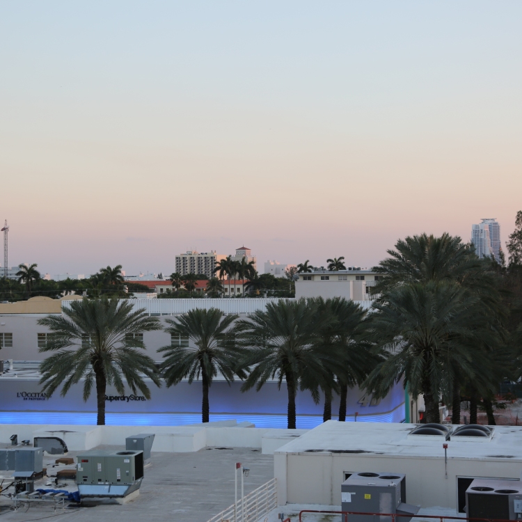 Miami - PC2A6930