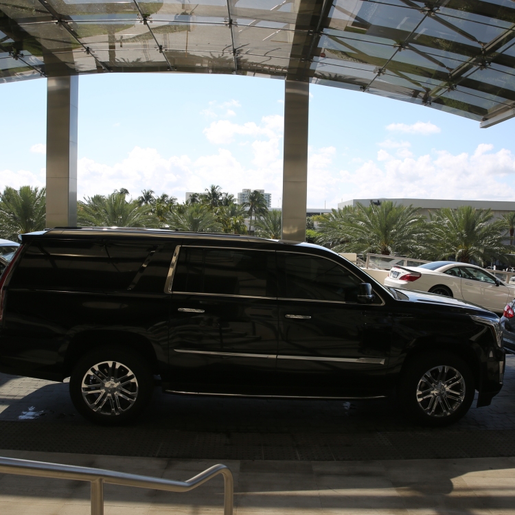 Cars - PC2A8913