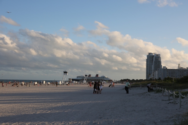Miami - PC2A9036