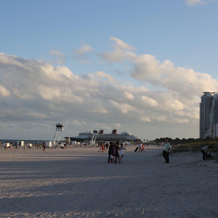 Miami - PC2A9036