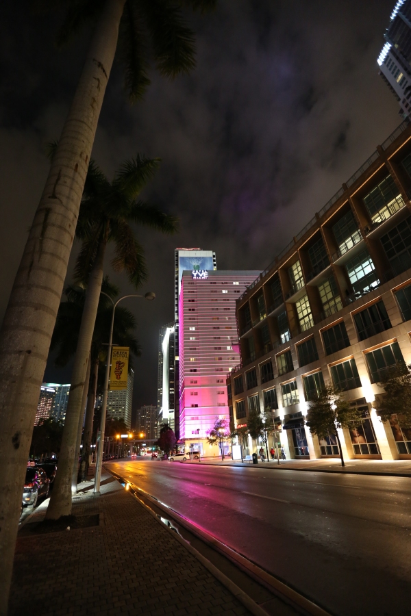 Miami - PC2A9056