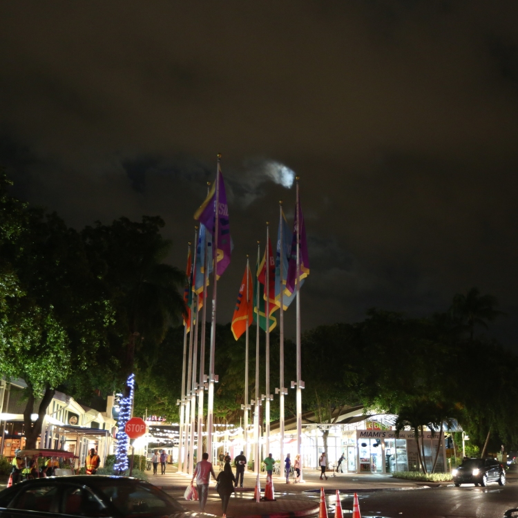 Miami - PC2A9069