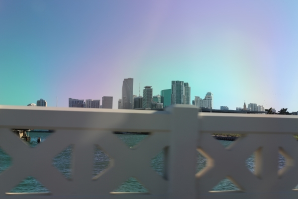 Miami - PC2A9257