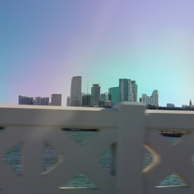 Miami - PC2A9257