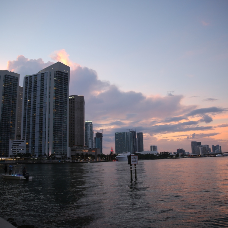 Miami - PC2A9601