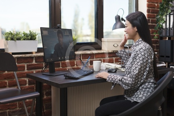 Agency office worker in virtual remote video conference with accounting manager talking about business plan.