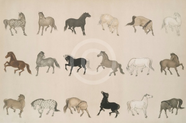 An illustration of horses